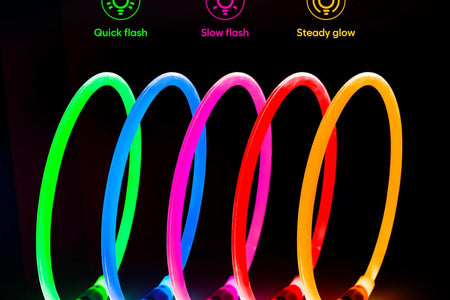 Lighted Dog Collar - Waterproof Puppy Collar Light Rechargeable, High Visibility Glowing Dog Lights for Night Walking (Orange)