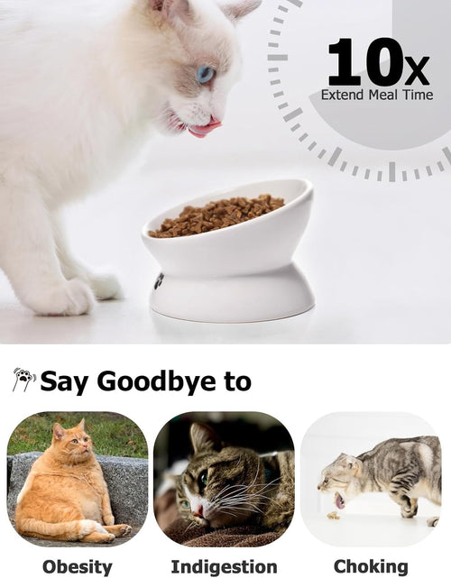 Load image into Gallery viewer, Cat Bowl anti Vomiting, Raised Food Bowls, Tilted Elevated Bowl, Ceramic Pet Food Bowl for Flat Faced Cats, Small Dogs, Protect Pet'S Spine, Dishwasher Safe (5 Inches, White)
