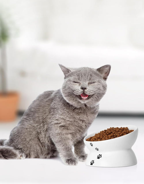 Load image into Gallery viewer, Cat Bowl anti Vomiting, Raised Food Bowls, Tilted Elevated Bowl, Ceramic Pet Food Bowl for Flat Faced Cats, Small Dogs, Protect Pet'S Spine, Dishwasher Safe (5 Inches, White)
