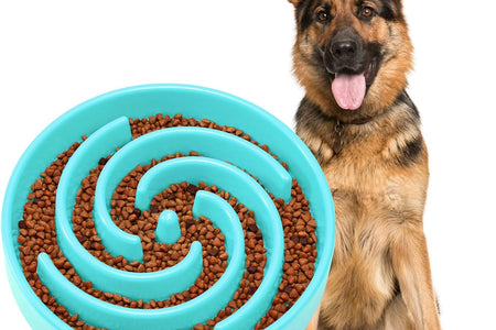 Slow Feeder Dogs Bowl for Large Medium Dogs,Anti-Gulping Pet Slower Food Feeding Bowls Stop Bloat,Preventing Choking
