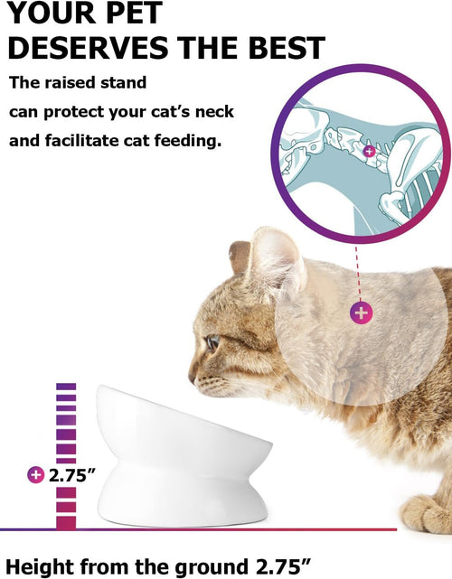 Load image into Gallery viewer, Cat Bowl anti Vomiting, Raised Food Bowls, Tilted Elevated Bowl, Ceramic Pet Food Bowl for Flat Faced Cats, Small Dogs, Protect Pet'S Spine, Dishwasher Safe (5 Inches, White)
