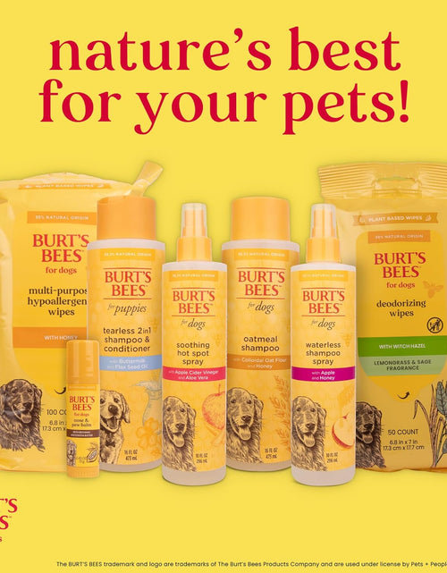 Load image into Gallery viewer, Cat Slicker Brush | Cat Brush Removes Loose Fur and Prevents Matting | Slicker Brush for Cats | Cat Brushes for Grooming to Keep a Smooth Coat | Ideal for Daily Grooming
