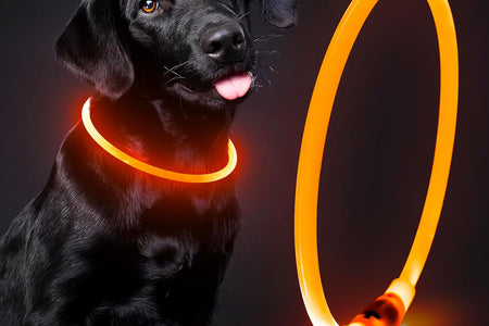 Lighted Dog Collar - Waterproof Puppy Collar Light Rechargeable, High Visibility Glowing Dog Lights for Night Walking (Orange)