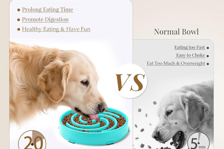 Slow Feeder Dogs Bowl for Large Medium Dogs,Anti-Gulping Pet Slower Food Feeding Bowls Stop Bloat,Preventing Choking