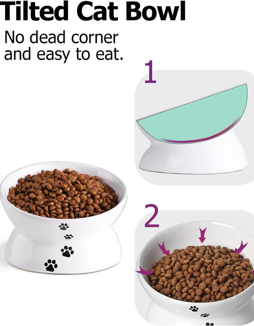 Load image into Gallery viewer, Cat Bowl anti Vomiting, Raised Food Bowls, Tilted Elevated Bowl, Ceramic Pet Food Bowl for Flat Faced Cats, Small Dogs, Protect Pet'S Spine, Dishwasher Safe (5 Inches, White)
