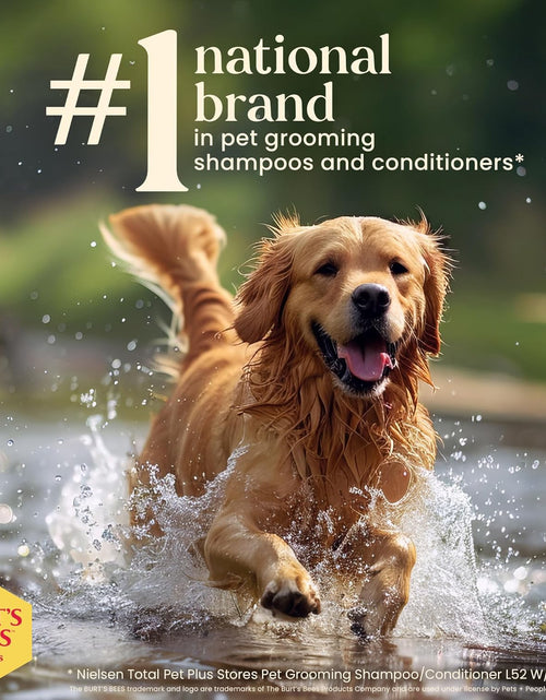 Load image into Gallery viewer, Cat Slicker Brush | Cat Brush Removes Loose Fur and Prevents Matting | Slicker Brush for Cats | Cat Brushes for Grooming to Keep a Smooth Coat | Ideal for Daily Grooming
