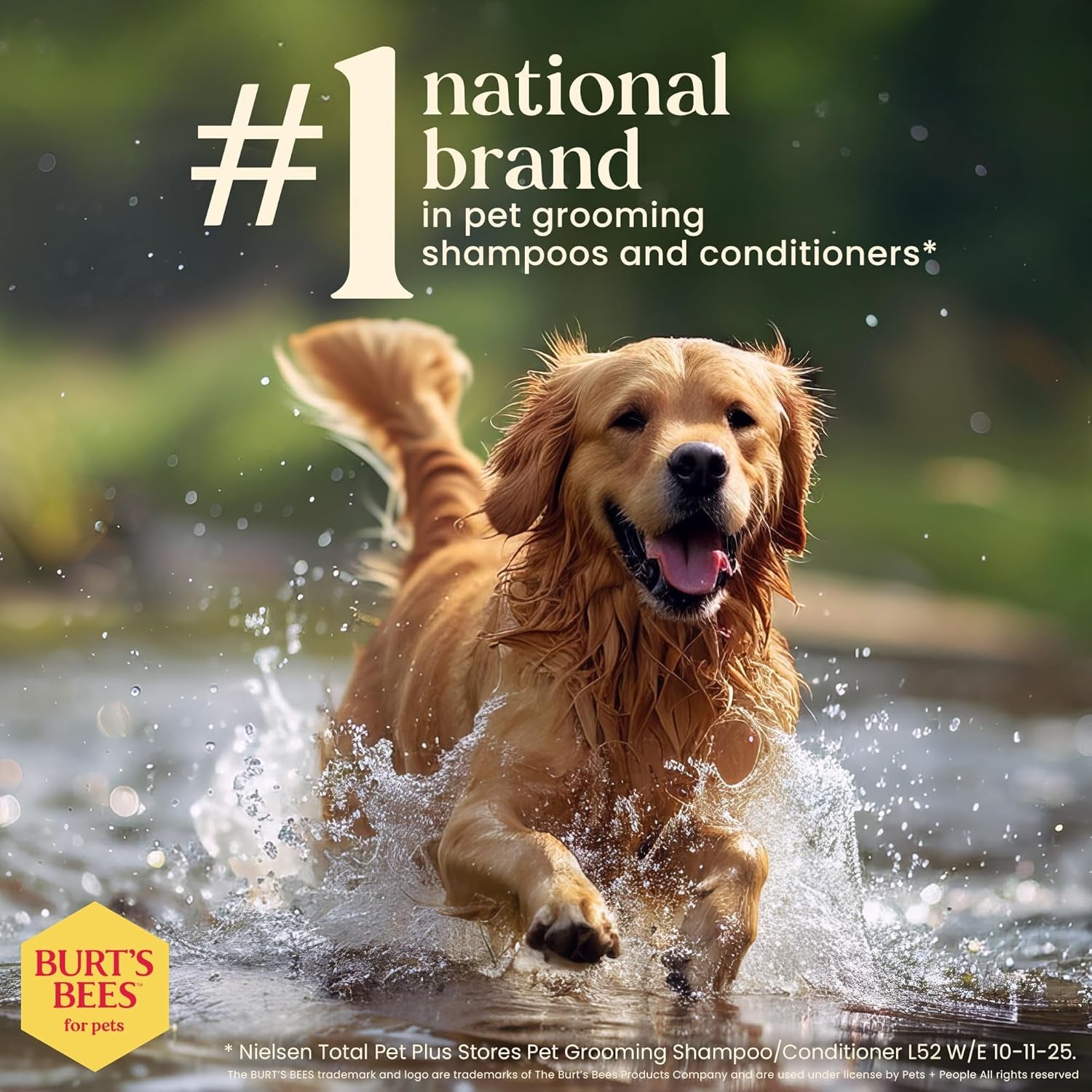 Cat Slicker Brush | Cat Brush Removes Loose Fur and Prevents Matting | Slicker Brush for Cats | Cat Brushes for Grooming to Keep a Smooth Coat | Ideal for Daily Grooming