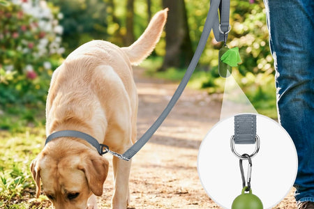 Dog Leash, 5 FT Double-Sided Reflective, Padded Handle Nylon Heavy Duty Leashes for Small Dogs Walking, Grey