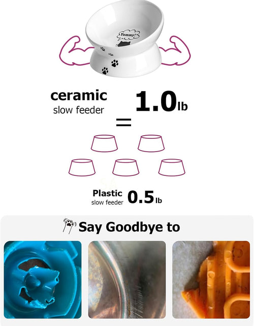 Load image into Gallery viewer, Cat Bowl anti Vomiting, Raised Food Bowls, Tilted Elevated Bowl, Ceramic Pet Food Bowl for Flat Faced Cats, Small Dogs, Protect Pet'S Spine, Dishwasher Safe (5 Inches, White)
