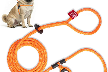 No Pull Dog Harness and Leash Set, anti Pull Dog Harness for All Breeds and Sizes, One-Piece Cushioned Rope Design Safely Prevents Escaping and Pulling (Small/Medium, Orange/Reflective)