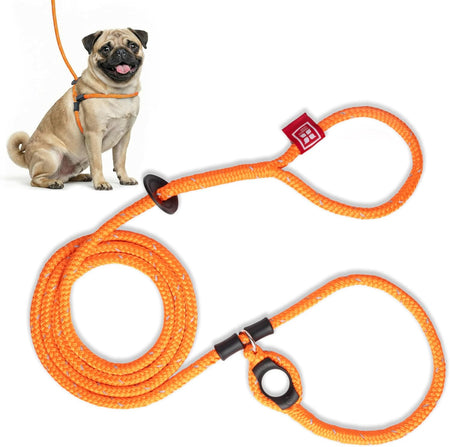 No Pull Dog Harness and Leash Set, anti Pull Dog Harness for All Breeds and Sizes, One-Piece Cushioned Rope Design Safely Prevents Escaping and Pulling (Small/Medium, Orange/Reflective)