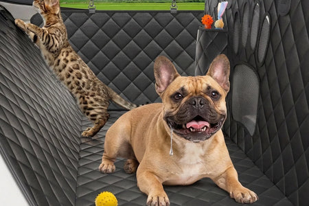 Dog Seat Cover- Non-Slip Dog Car Hammocks with Seatbelt Dog Car Seat Cover Waterproof and Scratch-Resistant Dog Car Back Seat Protection