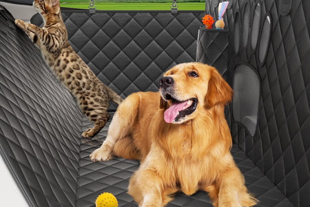 Dog Seat Cover- Non-Slip Dog Car Hammocks with Seatbelt Dog Car Seat Cover Waterproof and Scratch-Resistant Dog Car Back Seat Protection