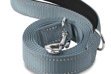 Dog Leash, 5 FT Double-Sided Reflective, Padded Handle Nylon Heavy Duty Leashes for Small Dogs Walking, Grey