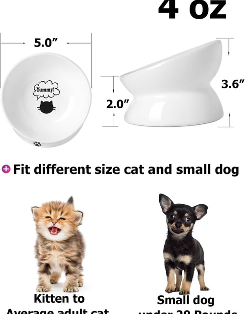 Load image into Gallery viewer, Cat Bowl anti Vomiting, Raised Food Bowls, Tilted Elevated Bowl, Ceramic Pet Food Bowl for Flat Faced Cats, Small Dogs, Protect Pet'S Spine, Dishwasher Safe (5 Inches, White)
