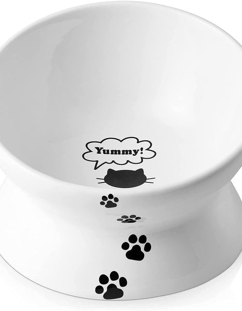 Load image into Gallery viewer, Cat Bowl anti Vomiting, Raised Food Bowls, Tilted Elevated Bowl, Ceramic Pet Food Bowl for Flat Faced Cats, Small Dogs, Protect Pet'S Spine, Dishwasher Safe (5 Inches, White)
